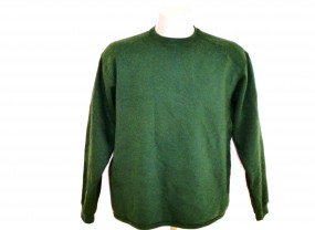 Authentic Sweatshirt Grün